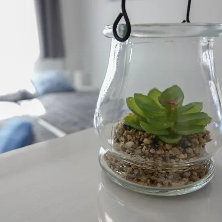 Paradiso Apartamento