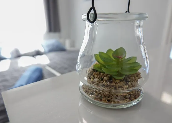 Paradiso Apartmanhaz 아파트